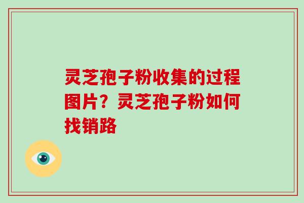 灵芝孢子粉收集的过程图片?灵芝孢子粉如何找销路 灵芝孢子粉收集的过程图片?灵芝孢子粉如何找销路