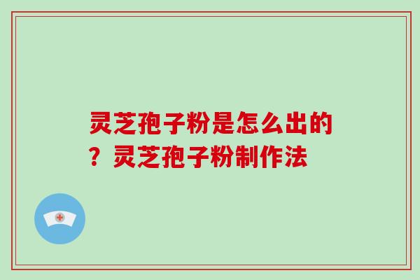 灵芝孢子粉是怎么出的?灵芝孢子粉制作法 灵芝孢子粉是怎么出的?灵芝孢子粉制作法