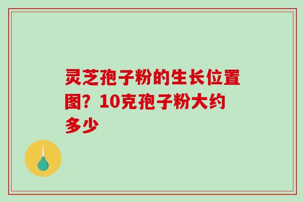 灵芝孢子粉的生长位置图?10克孢子粉大约多少 灵芝孢子粉的生长位置图?10克孢子粉大约多少