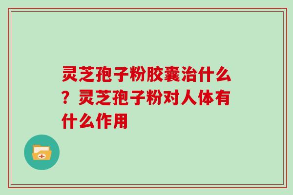 灵芝孢子粉胶囊什么?灵芝孢子粉对人体有什么作用 灵芝孢子粉胶囊什么?灵芝孢子粉对人体有什么作用