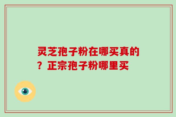 灵芝孢子粉在哪买真的？正宗孢子粉哪里买