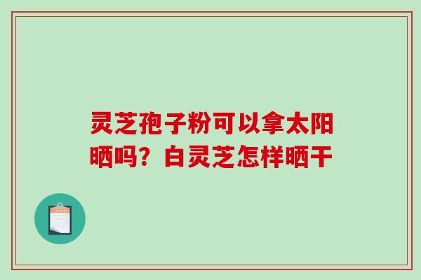 灵芝孢子粉可以拿太阳晒吗?白灵芝怎样晒干 灵芝孢子粉可以拿太阳晒吗?白灵芝怎样晒干