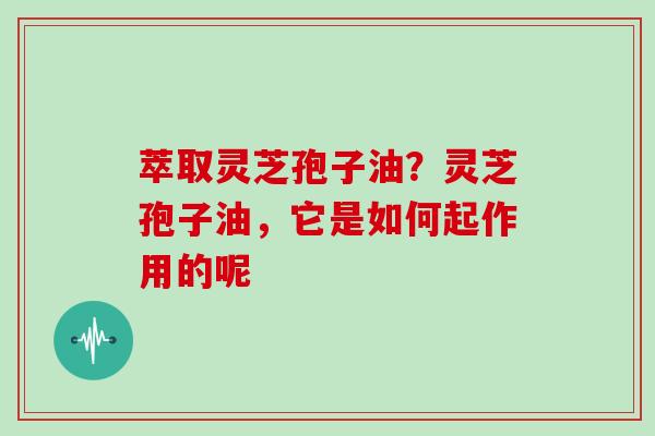 萃取灵芝孢子油？灵芝孢子油，它是如何起作用的呢