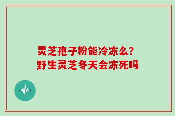 灵芝孢子粉能冷冻么?野生灵芝冬天会冻死吗 灵芝孢子粉能冷冻么?野生灵芝冬天会冻死吗