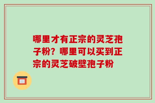 哪里才有正宗的灵芝孢子粉?哪里可以买到正宗的灵芝破壁孢子粉 哪里才有正宗的灵芝孢子粉?哪里可以买到正宗的灵芝破壁孢子粉