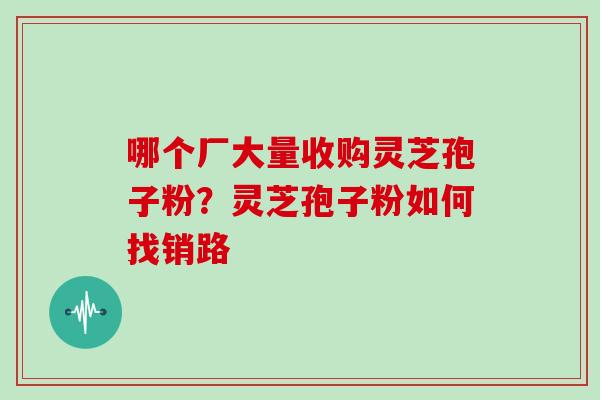 哪个厂大量收购灵芝孢子粉?灵芝孢子粉如何找销路 哪个厂大量收购灵芝孢子粉?灵芝孢子粉如何找销路