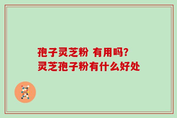 孢子灵芝粉 有用吗？灵芝孢子粉有什么好处