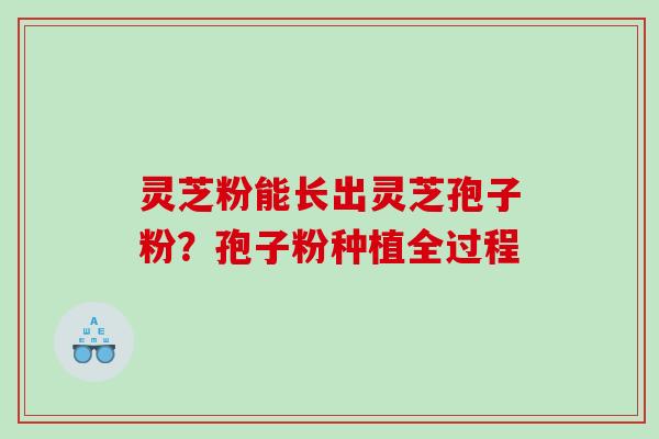 灵芝粉能长出灵芝孢子粉？孢子粉种植全过程
