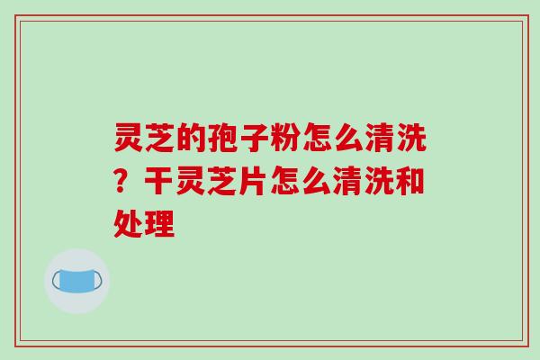 灵芝的孢子粉怎么清洗？干灵芝片怎么清洗和处理