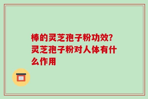 棒的灵芝孢子粉功效?灵芝孢子粉对人体有什么作用 棒的灵芝孢子粉功效?灵芝孢子粉对人体有什么作用