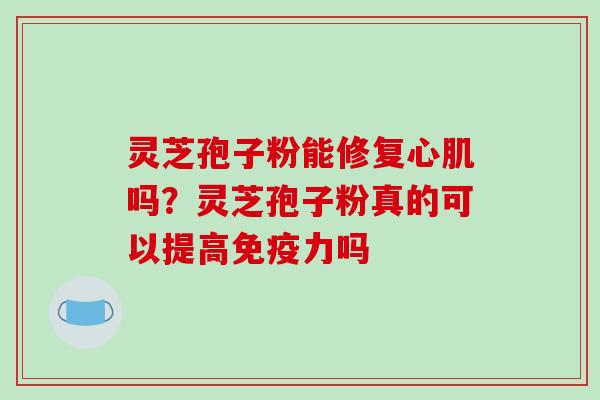 灵芝孢子粉能修复心肌吗?灵芝孢子粉真的可以提高免疫力吗 灵芝孢子粉能修复心肌吗?灵芝孢子粉真的可以提高免疫力吗