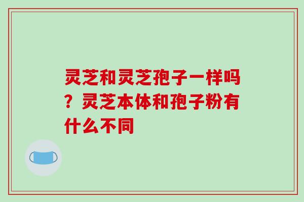 灵芝和灵芝孢子一样吗?灵芝本体和孢子粉有什么不同 灵芝和灵芝孢子一样吗?灵芝本体和孢子粉有什么不同