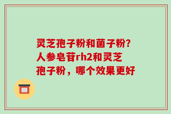灵芝孢子粉和菌子粉?人参皂苷rh2和灵芝孢子粉,哪个效果更好 灵芝孢子粉和菌子粉?人参皂苷rh2和灵芝孢子粉,哪个效果更好
