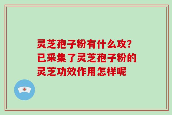 灵芝孢子粉有什么攻？已采集了灵芝孢子粉的灵芝功效作用怎样呢