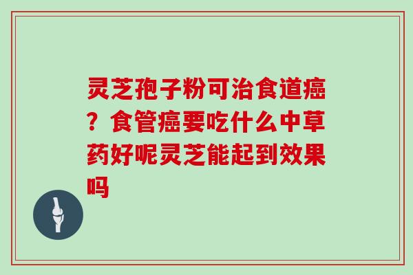 灵芝孢子粉可食道?食管要吃什么中草药好呢灵芝能起到效果吗 灵芝孢子粉可食道?食管要吃什么中草药好呢灵芝能起到效果吗