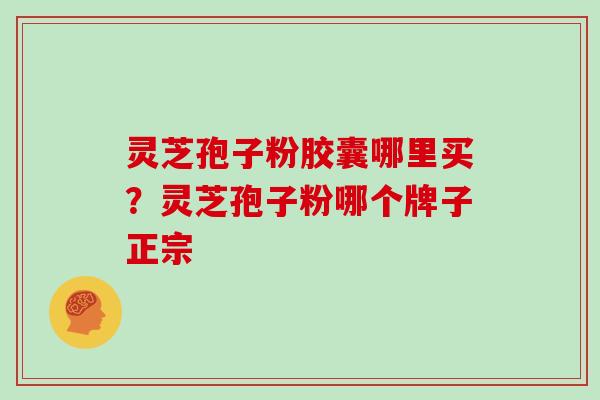 灵芝孢子粉胶囊哪里买?灵芝孢子粉哪个牌子正宗 灵芝孢子粉胶囊哪里买?灵芝孢子粉哪个牌子正宗