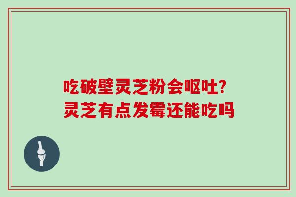 吃破壁灵芝粉会?灵芝有点发霉还能吃吗 吃破壁灵芝粉会?灵芝有点发霉还能吃吗
