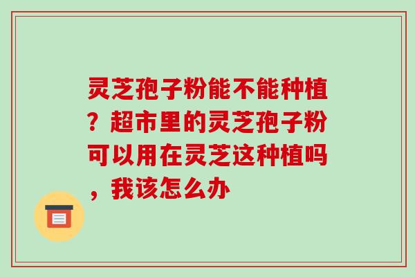 灵芝孢子粉能不能种植?超市里的灵芝孢子粉可以用在灵芝这种植吗,我该怎么办 灵芝孢子粉能不能种植?超市里的灵芝孢子粉可以用在灵芝这种植吗,我该怎么办