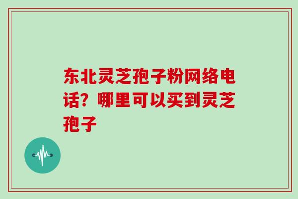 东北灵芝孢子粉网络电话？哪里可以买到灵芝孢子