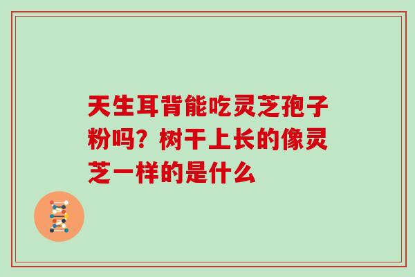 天生耳背能吃灵芝孢子粉吗?树干上长的像灵芝一样的是什么 天生耳背能吃灵芝孢子粉吗?树干上长的像灵芝一样的是什么