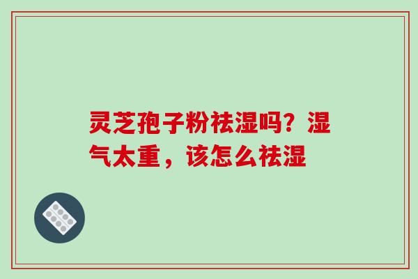 灵芝孢子粉祛湿吗?湿气太重,该怎么祛湿 灵芝孢子粉祛湿吗?湿气太重,该怎么祛湿