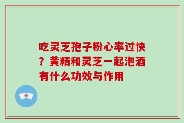 吃灵芝孢子粉心率过快？黄精和灵芝一起泡酒有什么功效与作用