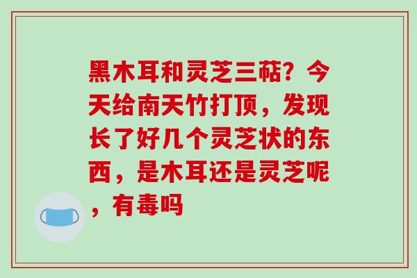 黑木耳和灵芝三萜?今天给南天竹打顶,发现长了好几个灵芝状的东西,是木耳还是灵芝呢,有毒吗 黑木耳和灵芝三萜?今天给南天竹打顶,发现长了好几个灵芝状的东西,是木耳还是灵芝呢,有毒吗