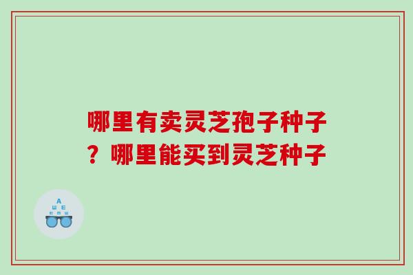 哪里有卖灵芝孢子种子?哪里能买到灵芝种子 哪里有卖灵芝孢子种子?哪里能买到灵芝种子