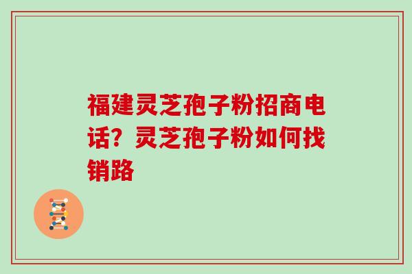 福建灵芝孢子粉招商电话？灵芝孢子粉如何找销路