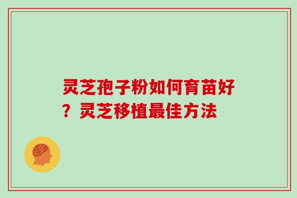 灵芝孢子粉如何育苗好?灵芝移植佳方法 灵芝孢子粉如何育苗好?灵芝移植佳方法