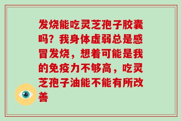 发烧能吃灵芝孢子胶囊吗？我身体虚弱总是发烧，想着可能是我的免疫力不够高，吃灵芝孢子油能不能有所改善