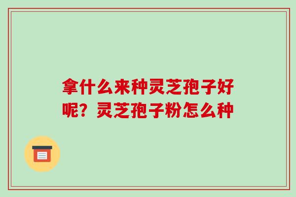 拿什么来种灵芝孢子好呢?灵芝孢子粉怎么种 拿什么来种灵芝孢子好呢?灵芝孢子粉怎么种
