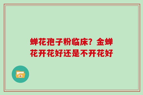 蝉花孢子粉临床?金蝉花开花好还是不开花好 蝉花孢子粉临床?金蝉花开花好还是不开花好