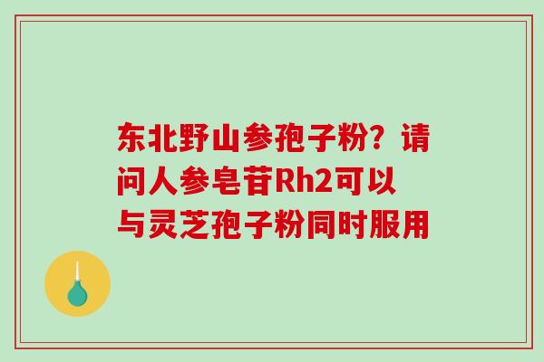 东北野山参孢子粉?请问人参皂苷Rh2可以与灵芝孢子粉同时服用 东北野山参孢子粉?请问人参皂苷Rh2可以与灵芝孢子粉同时服用