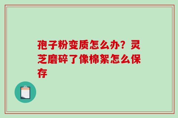 孢子粉变质怎么办？灵芝磨碎了像棉絮怎么保存