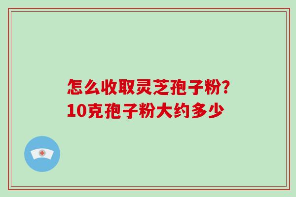 怎么收取灵芝孢子粉？10克孢子粉大约多少
