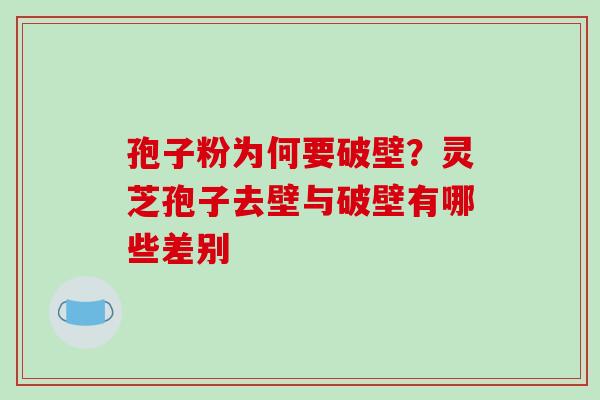 孢子粉为何要破壁？灵芝孢子去壁与破壁有哪些差别