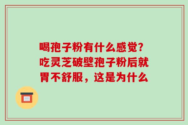 喝孢子粉有什么感觉?吃灵芝破壁孢子粉后就胃不舒服,这是为什么 喝孢子粉有什么感觉?吃灵芝破壁孢子粉后就胃不舒服,这是为什么