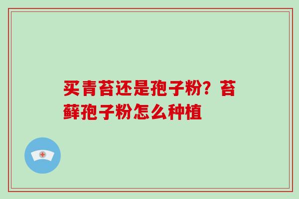 买青苔还是孢子粉？苔藓孢子粉怎么种植