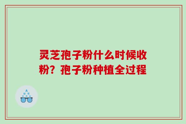 灵芝孢子粉什么时候收粉?孢子粉种植全过程 灵芝孢子粉什么时候收粉?孢子粉种植全过程