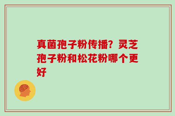 真菌孢子粉传播?灵芝孢子粉和松花粉哪个更好 真菌孢子粉传播?灵芝孢子粉和松花粉哪个更好