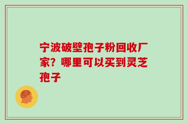 宁波破壁孢子粉回收厂家?哪里可以买到灵芝孢子 宁波破壁孢子粉回收厂家?哪里可以买到灵芝孢子