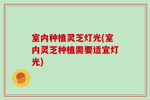 室内种植灵芝灯光(室内灵芝种植需要适宜灯光)