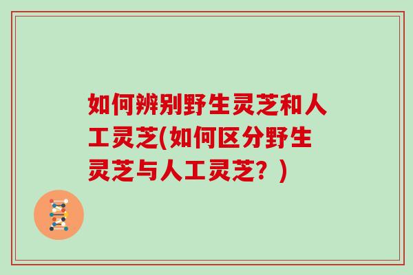 如何辨别野生灵芝和人工灵芝(如何区分野生灵芝与人工灵芝？)