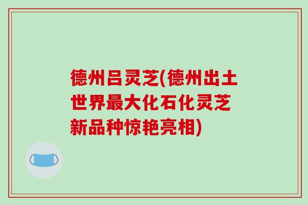 德州吕灵芝(德州出土世界大化石化灵芝 新品种惊艳亮相)