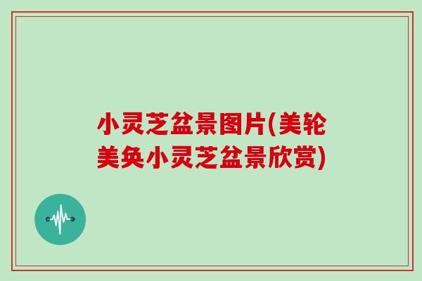 小灵芝盆景图片(美轮美奂小灵芝盆景欣赏)