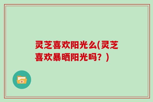 灵芝喜欢阳光么(灵芝喜欢暴晒阳光吗？)