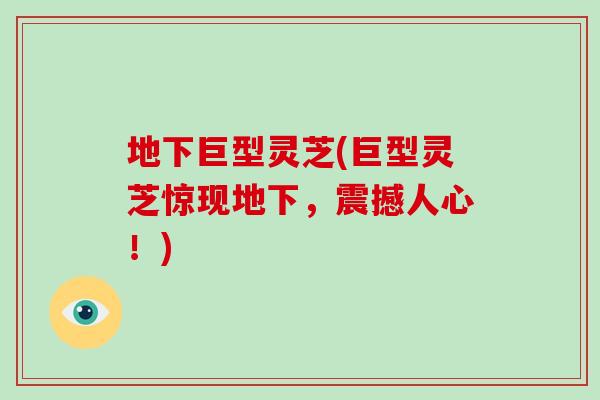 地下巨型灵芝(巨型灵芝惊现地下，震撼人心！)