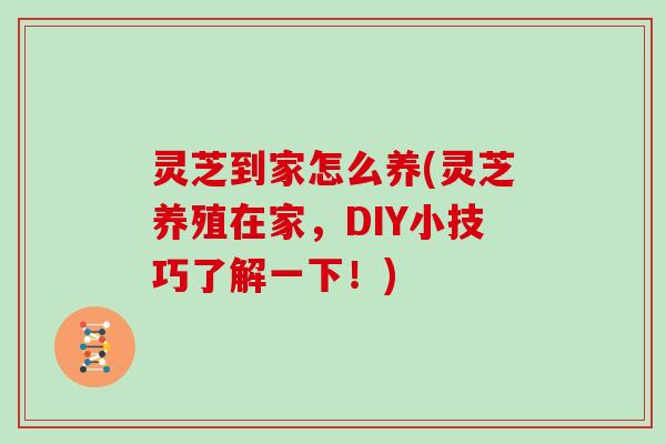 灵芝到家怎么养(灵芝养殖在家，DIY小技巧了解一下！)