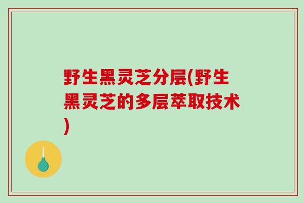 野生黑灵芝分层(野生黑灵芝的多层萃取技术)